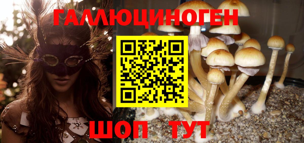 Галлюциногенные грибы Psilocybe  Галлюциногенные грибы Psilocybine cubensis  Ярцево  Вход с VPN 